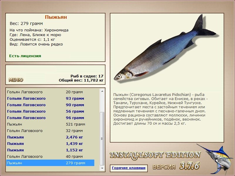 Ближе к морю 