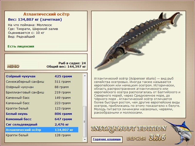 Широкий залив 