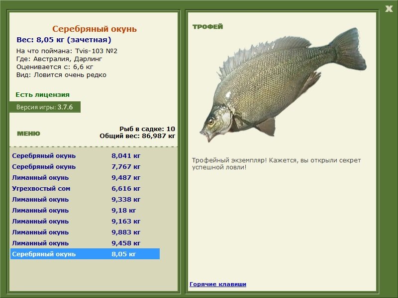Серебряный окунь 