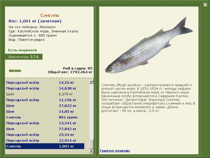 турниры • РУССКАЯ РЫБАЛКА