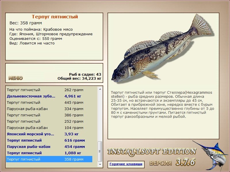 Штормовое предупреждение 
