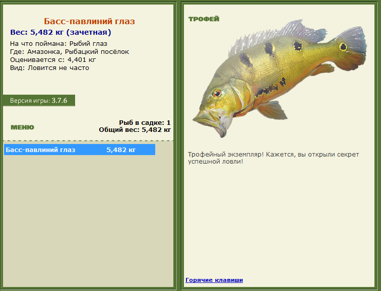 турниры • РУССКАЯ РЫБАЛКА
