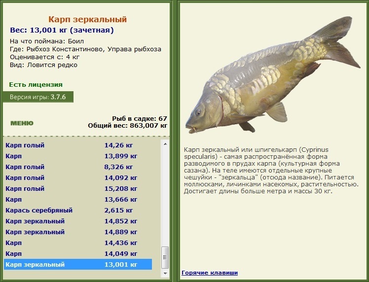 турниры • РУССКАЯ РЫБАЛКА