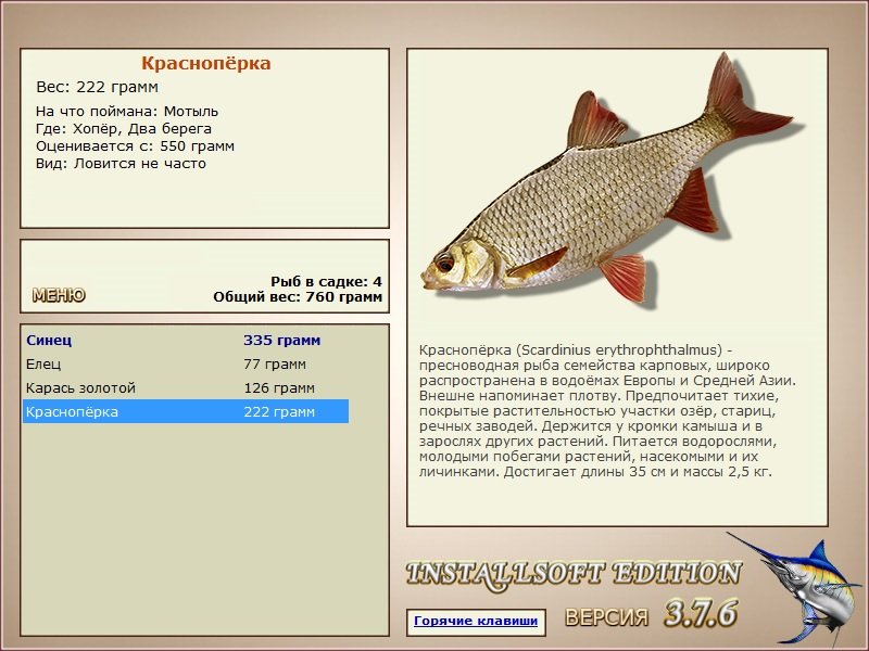 турниры • РУССКАЯ РЫБАЛКА
