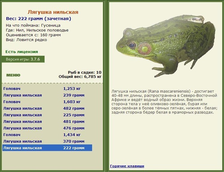 турниры • РУССКАЯ РЫБАЛКА