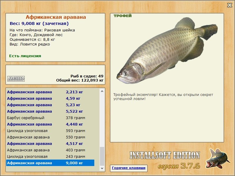 Дождевой лес 