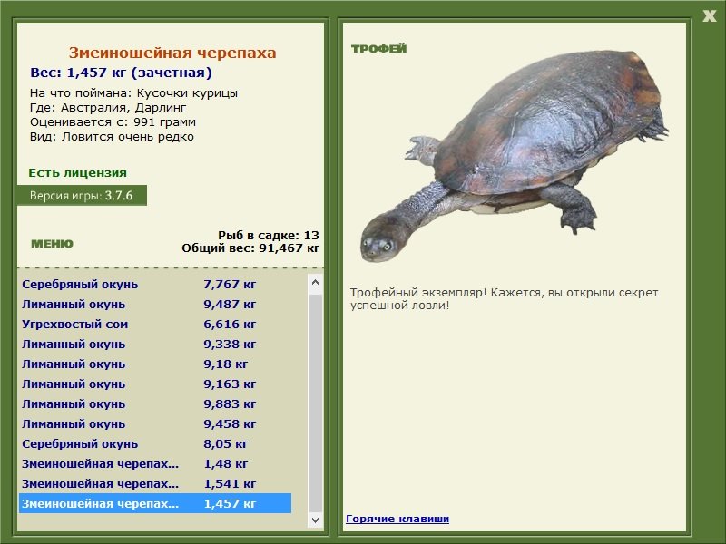 Дарлинг 