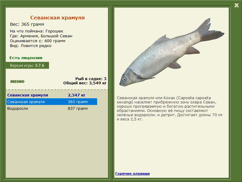 Большой Севан 