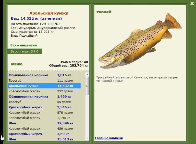 Аральская кумжа 