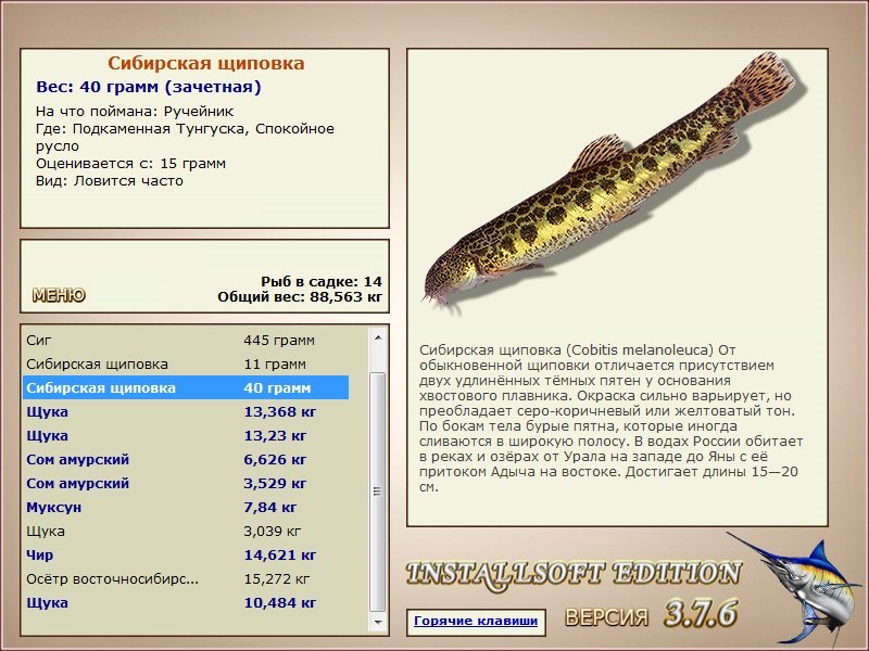 Спокойное русло 