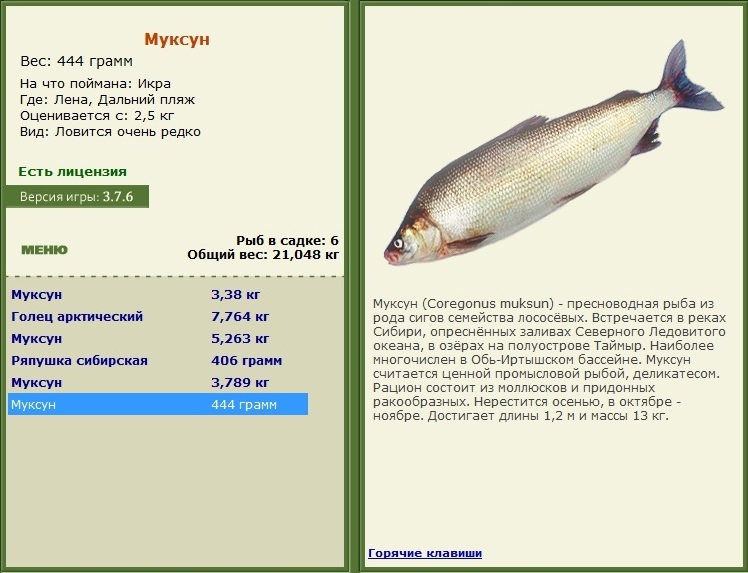 турниры • РУССКАЯ РЫБАЛКА