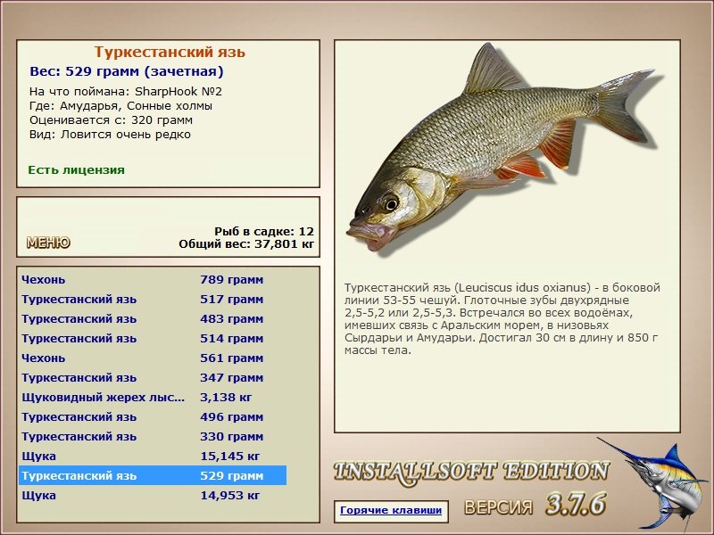 Сонные холмы 