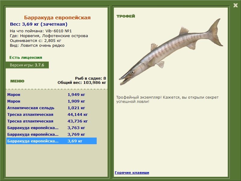 Барракуда европейская 