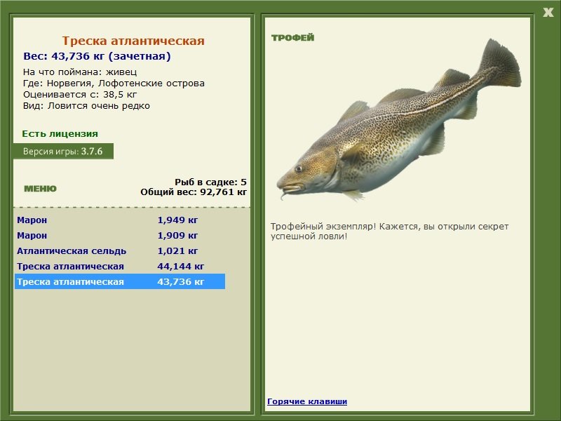 Треска атлантическая 