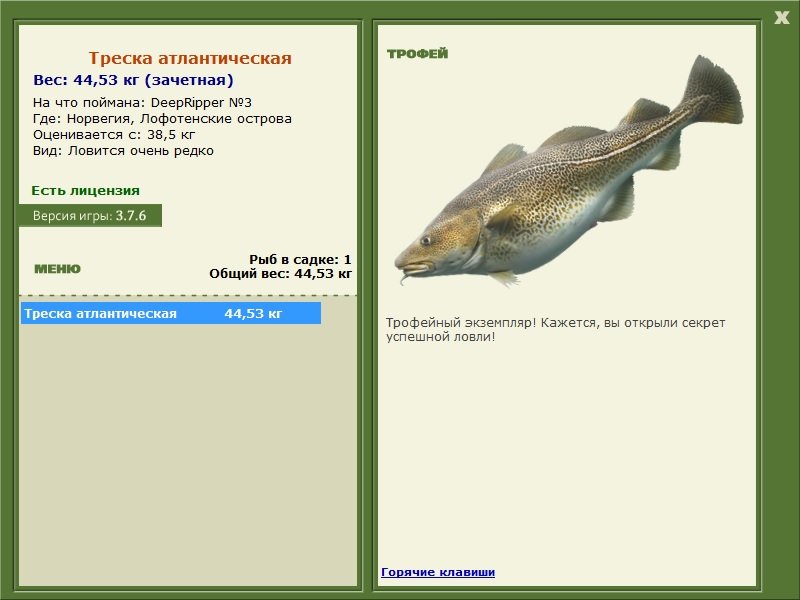 Треска атлантическая 