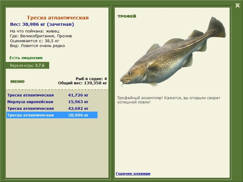 Пролив 