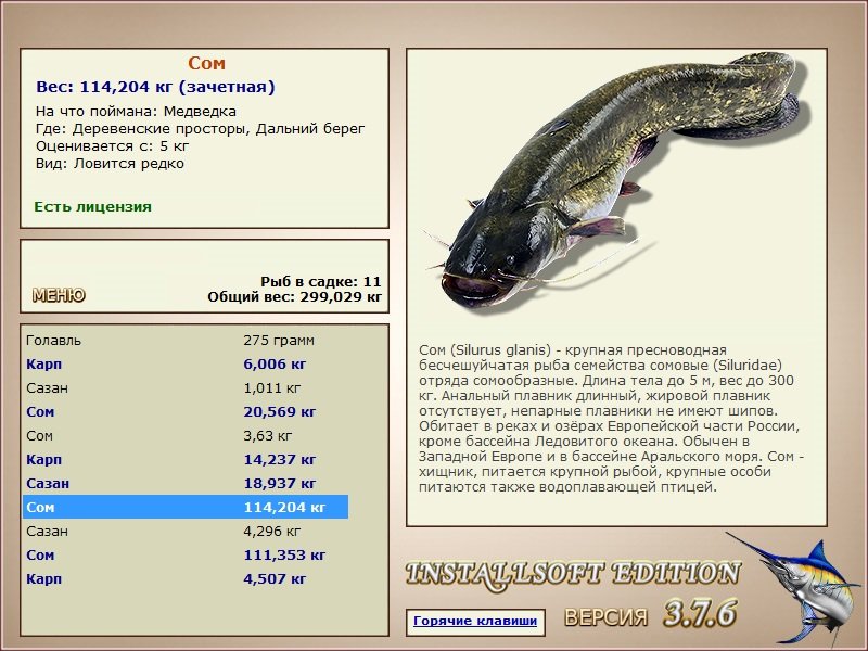 Дальний берег 
