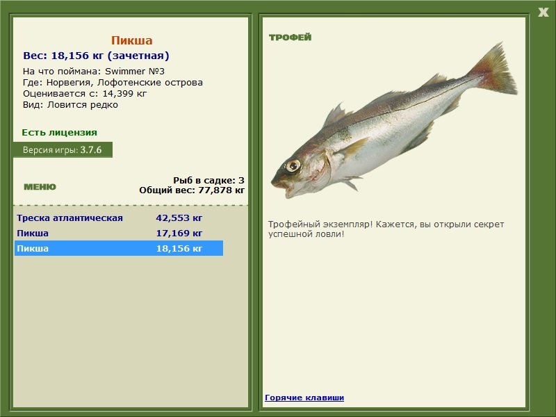 Пикша 