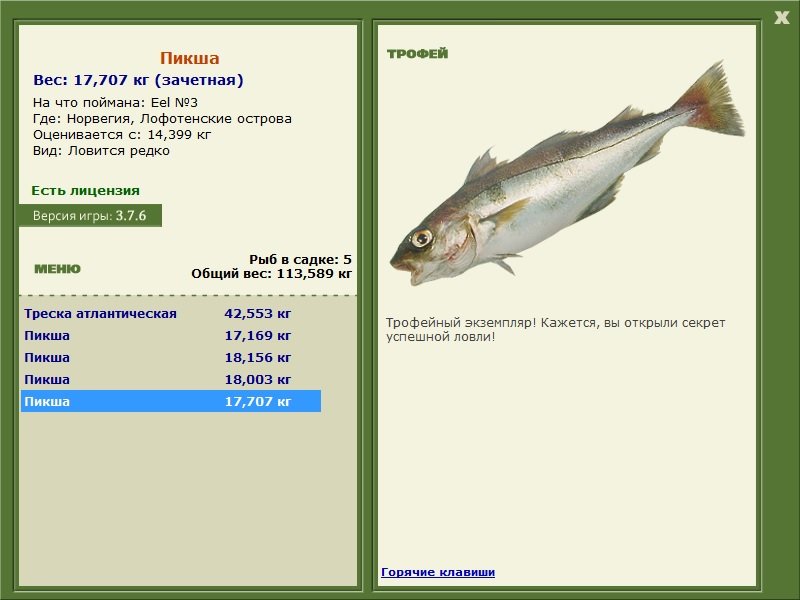 Пикша 