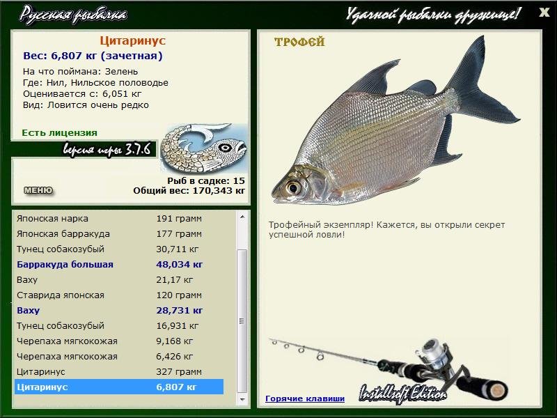 Цитаринус 