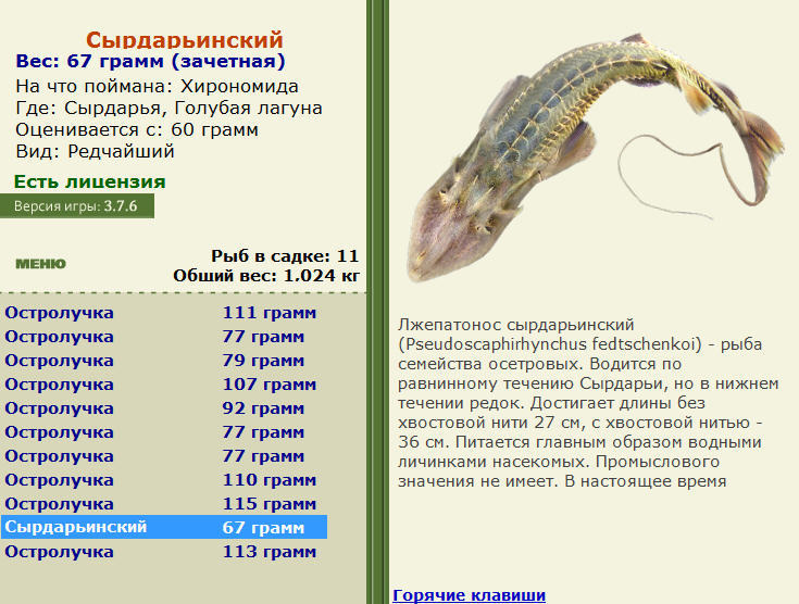 Голубая лагуна 