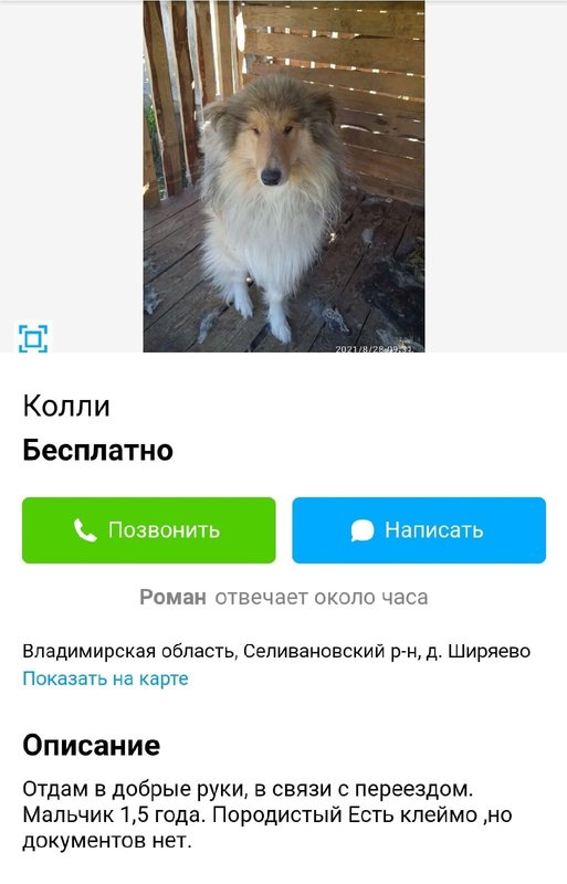 Изображение