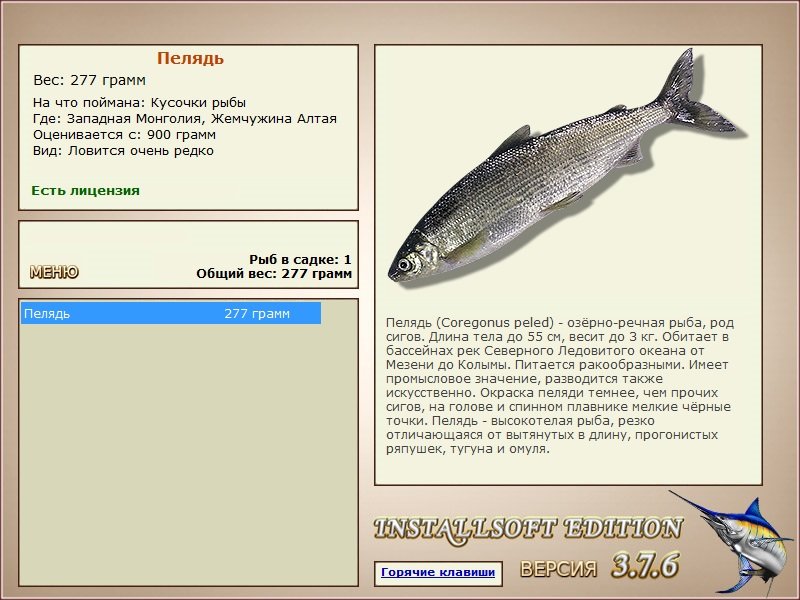 Жемчужина Алтая 