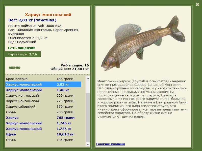 турниры • РУССКАЯ РЫБАЛКА