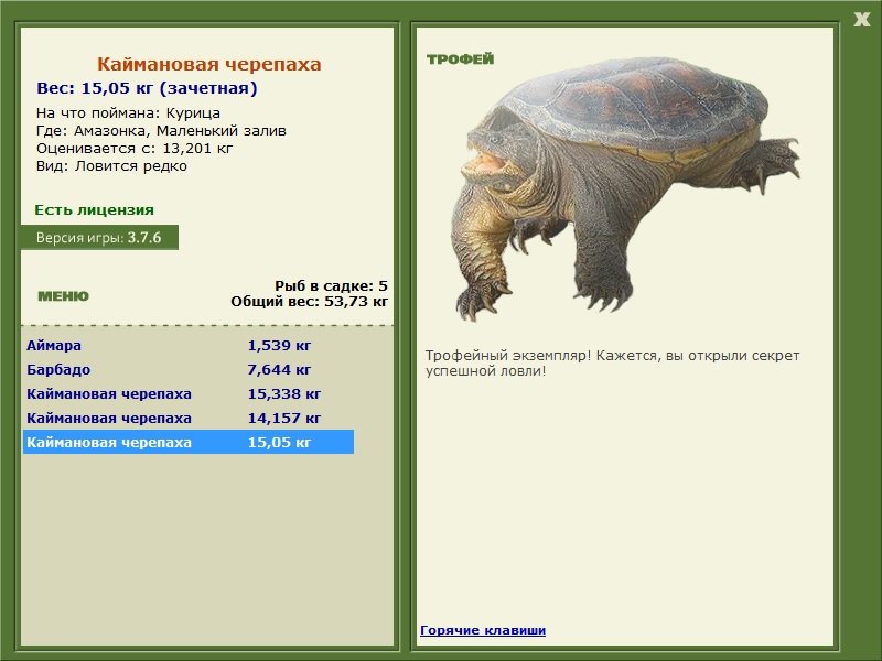 Каймановая черепаха 