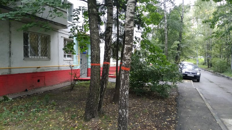  Страница 804 - Снос пятиэтажек