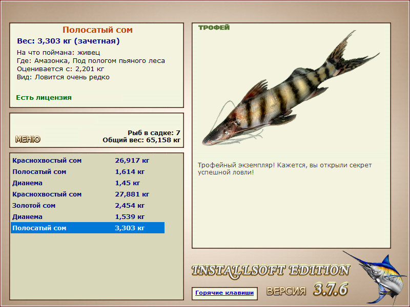 Под пологом пьяного леса 