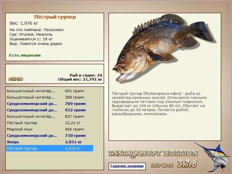 турниры • РУССКАЯ РЫБАЛКА