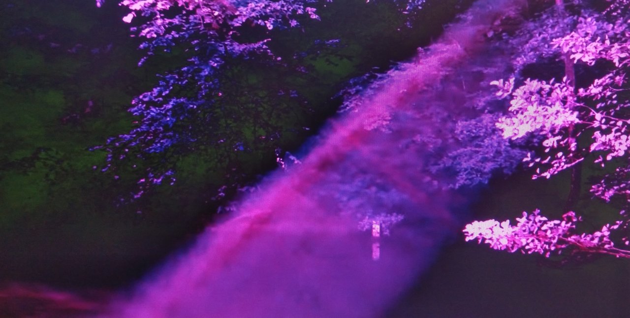  Страница 7 - Форум 