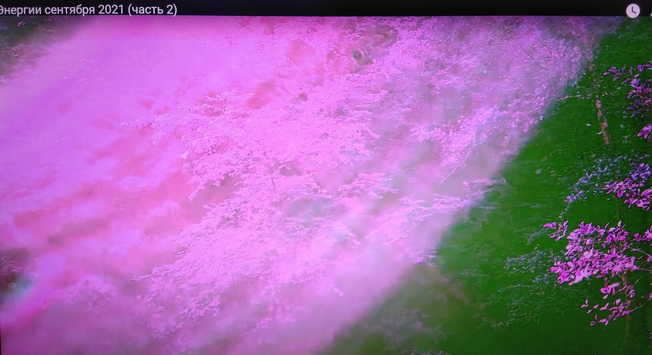  Страница 7 - Форум 