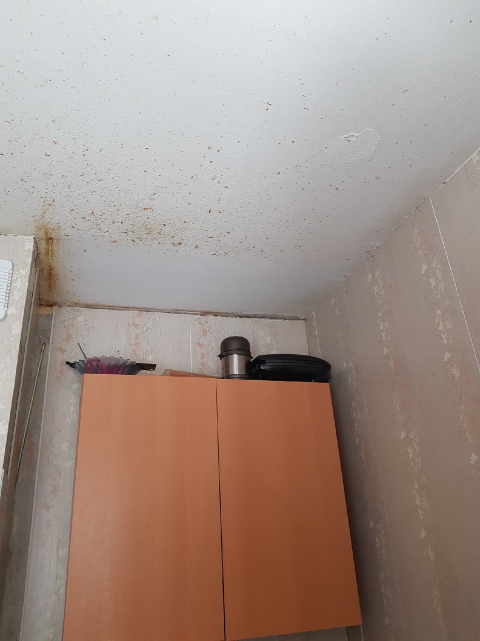  Индукционная плита