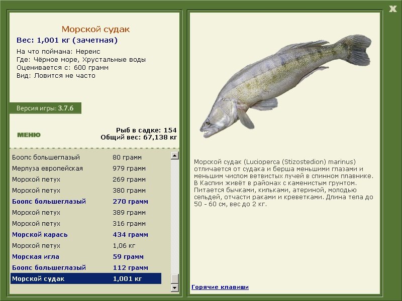турниры • РУССКАЯ РЫБАЛКА