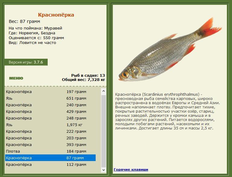 турниры • РУССКАЯ РЫБАЛКА