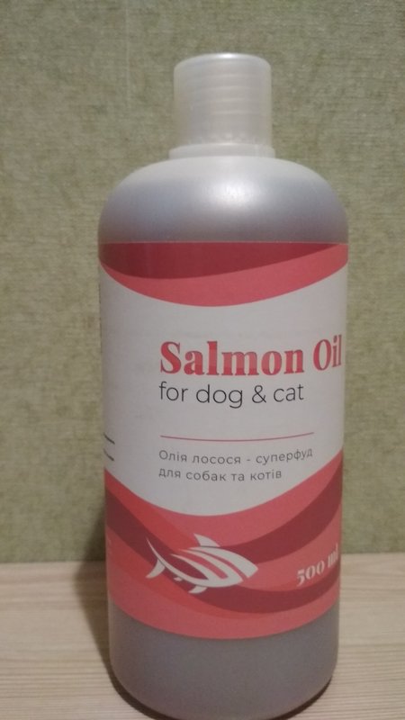 Фін. звіт Аслан 