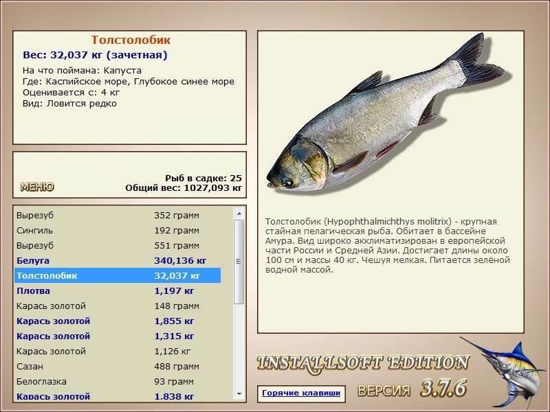 Каспийское море 