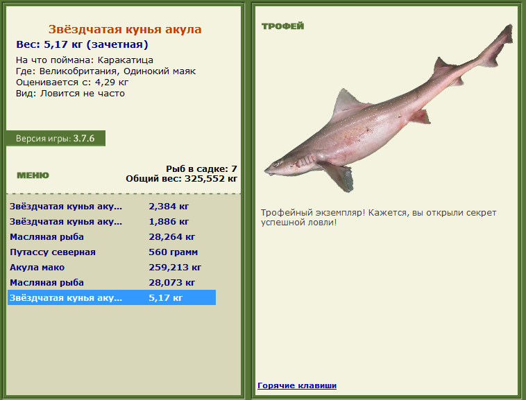 турниры • РУССКАЯ РЫБАЛКА
