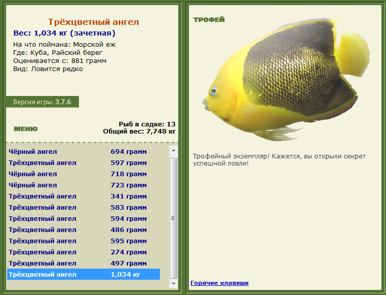 турниры • РУССКАЯ РЫБАЛКА