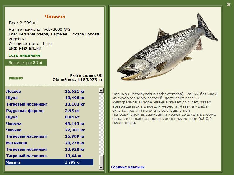 турниры • РУССКАЯ РЫБАЛКА