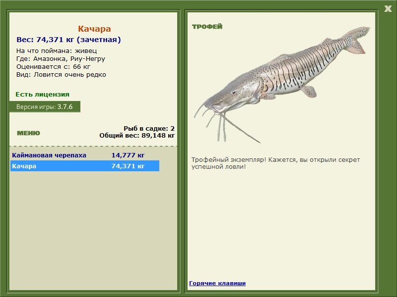 Качара 