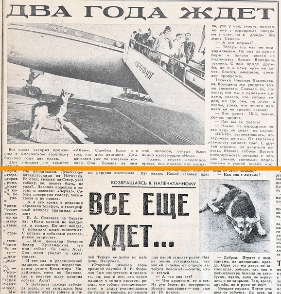 БРЭА в кино и у знаменитостей.