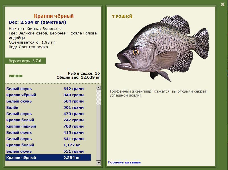 Краппи чёрный 