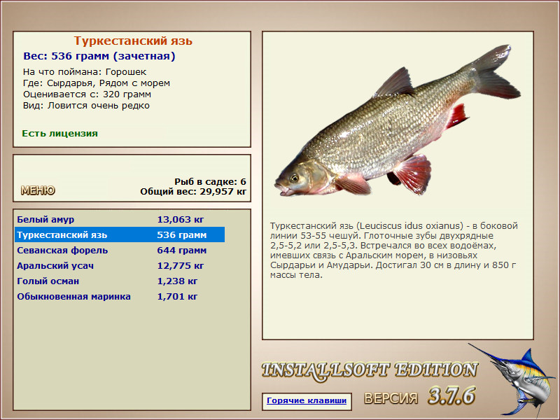 Сырдарья 