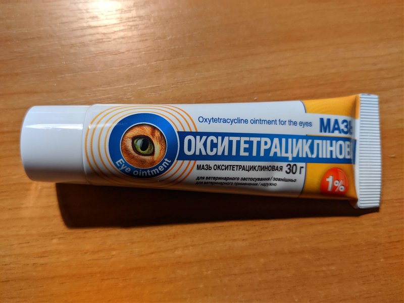 ка с 10.03.2021) • Финансовые отчеты животных ВОЛОНТЕРОВ