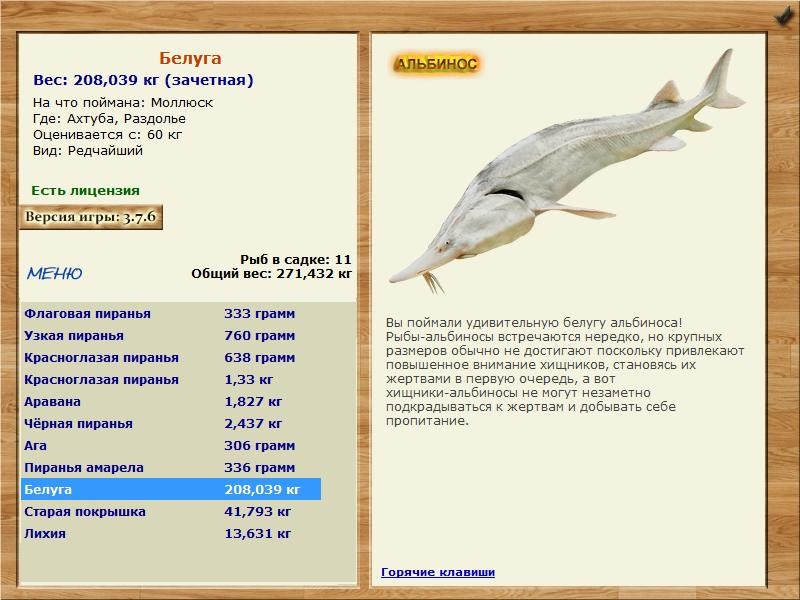 Раздолье 