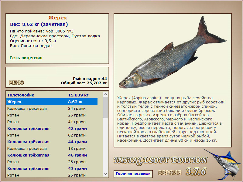 Деревенские просторы 