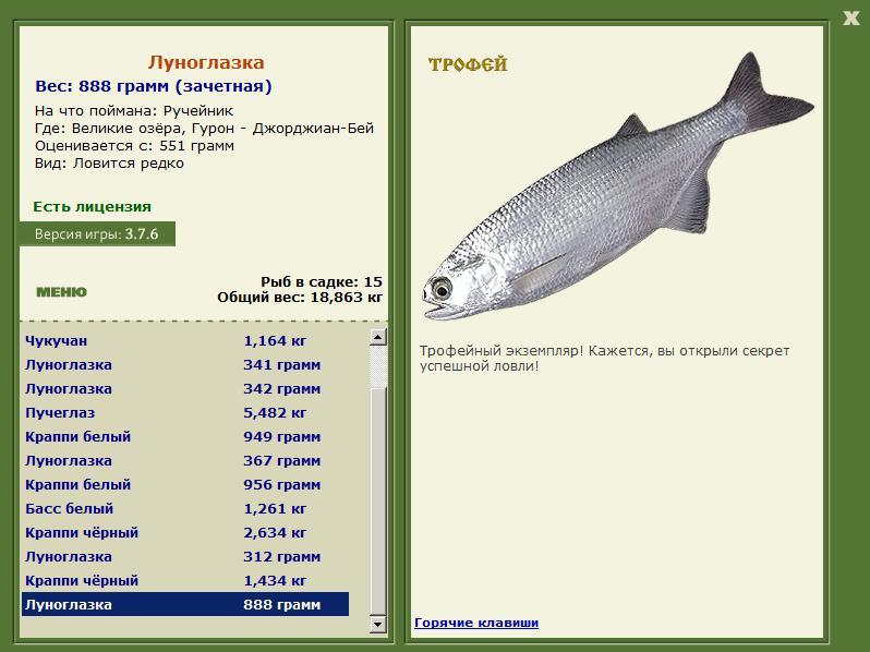 турниры • РУССКАЯ РЫБАЛКА
